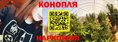 МДПВ Ирбит