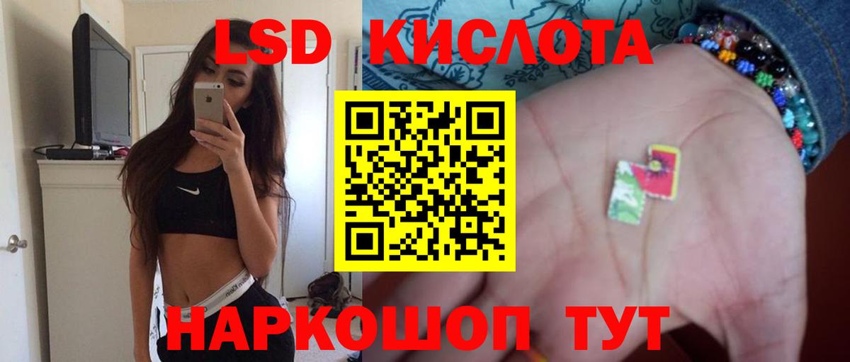 Псилоцибиновые грибы Майский