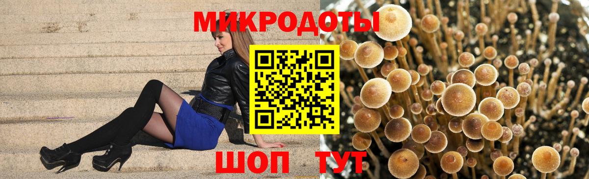 Псилоцибиновые грибы ЛСД  Вход с VPN  Галлюциногенные грибы Psilocybine cubensis  Майский 
